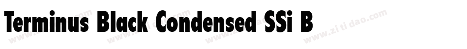 Terminus Black Condensed SSi Bold Condensed字体转换